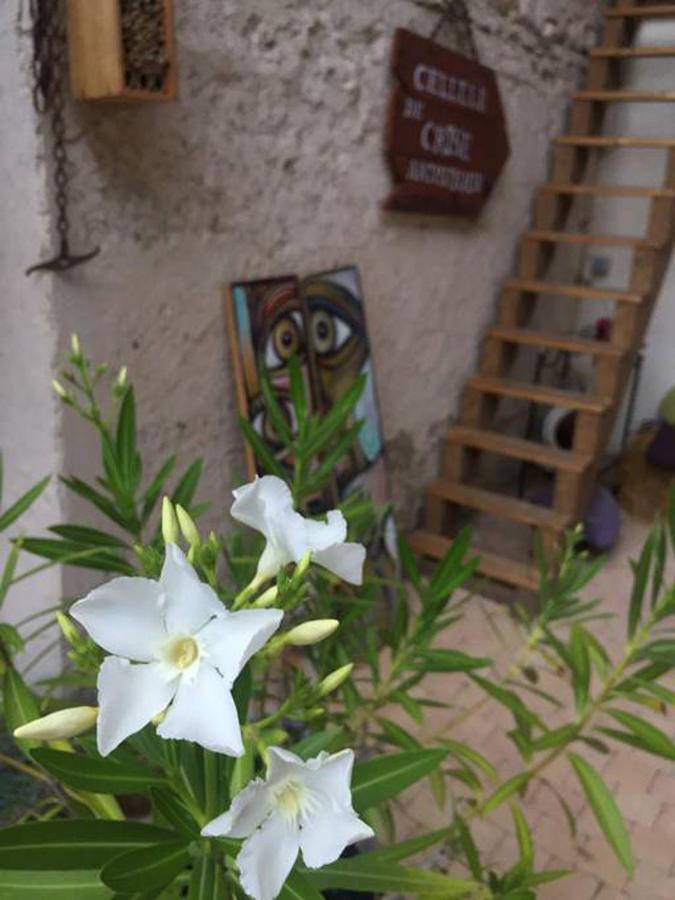 La Grange De La Batone - Bed And Breakfast Messimy-sur-Saone 外观 照片