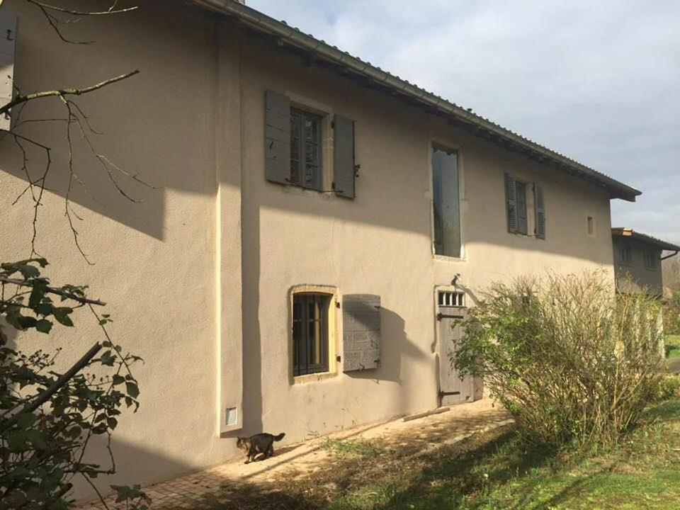 La Grange De La Batone - Bed And Breakfast Messimy-sur-Saone 外观 照片